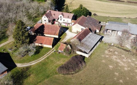 In the heart of the "Golden Triangle", formed by Sarlat, Montignac and Les Eyzies, old farm on 7 hectares offering great possibilities.